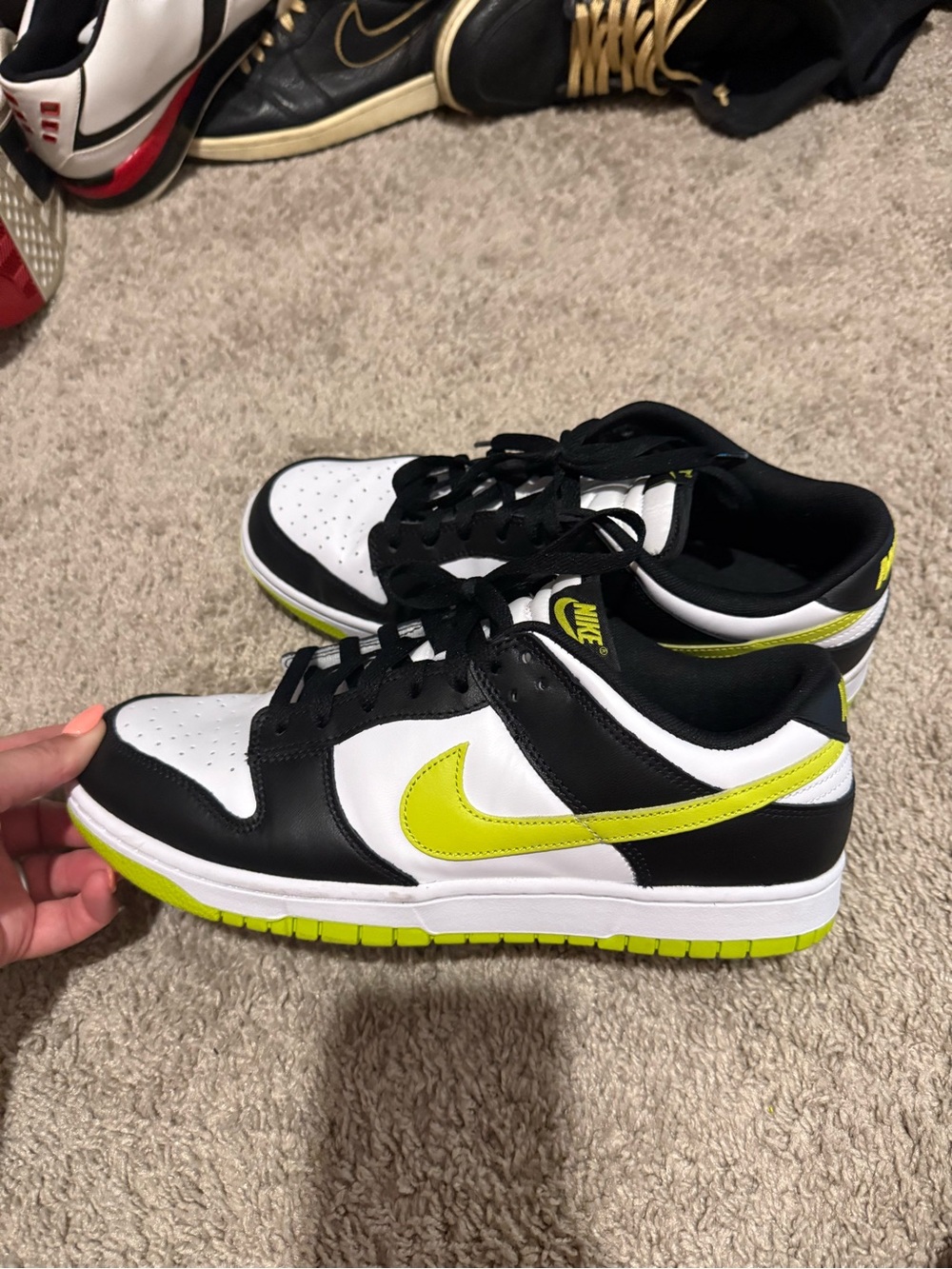 Mens Nike Dunk Low Shoes